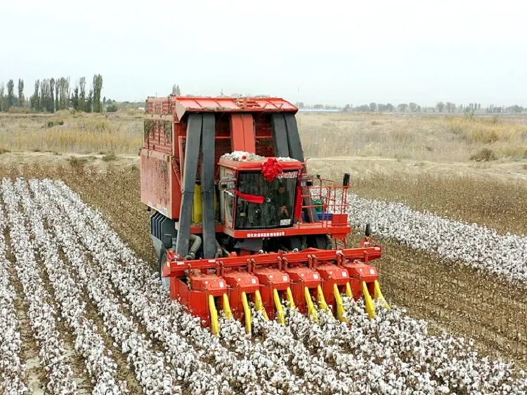 Large Cotton Harvester